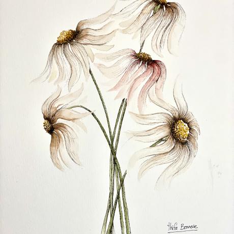 Atelier aquarelle EMBRUN - Atelier aquarelle EMBRUN