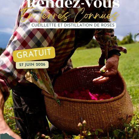 Rendez-vous en terres connues : Cueillette et distillation de roses._Théus