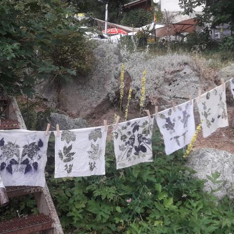 Atelier : Herbier sur tissu_Les Orres - Atelier : Herbier sur tissu_Les Orres