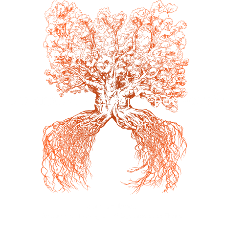 Conférence : Arbres, des super-pouvoirs?!_Les Orres - Conférence : Arbres, des super-pouvoirs?!_Les Orres