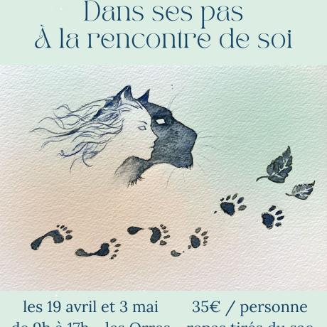 Rencontre animal totem 4.jpg - Rencontre animal totem