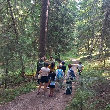 Découvrez la forêt de Boscodon et devenez technicien forestier le temps d'une matinée - Découvrez la forêt de Boscodon et devenez technicien forestier le temps d'une matinée