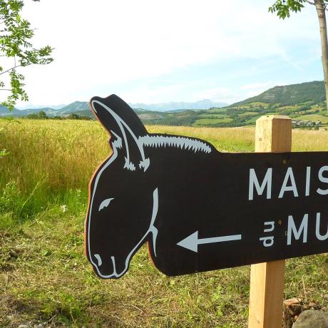 Balade contée "suivre les pas des troupeaux"_Seyne - Maison du mulet